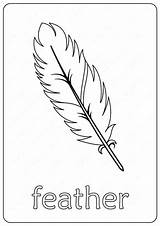 Feather Coloring Page Sheets Pages sketch template