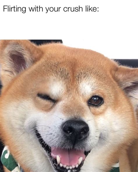 Dog Meme Face Shiba - diagram svg img gg