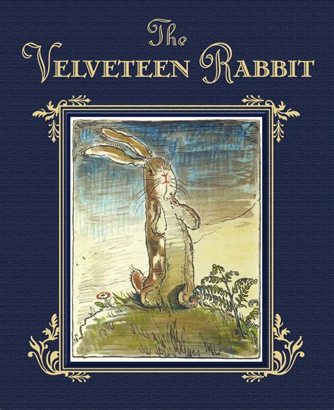 The Velveteen Rabbit - Walmart.com