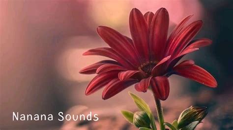 Relaxing Office Music Background Music For Work Free Download "My Turn ...