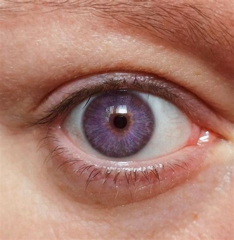 purple eyes | Violette augen, Schöne augen, Augenformen