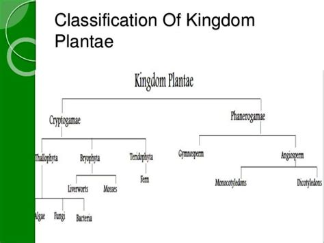 Kingdom Plantae presented by Vrushali Gharat to Mr. Kailash vilegave