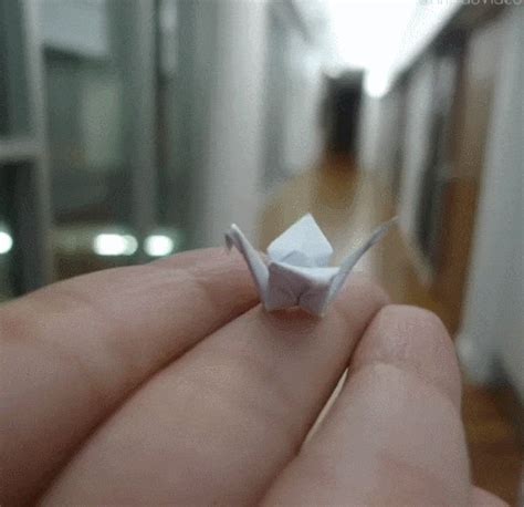 Origami Animals Origami Mouse GIFs - Find & Share on GIPHY