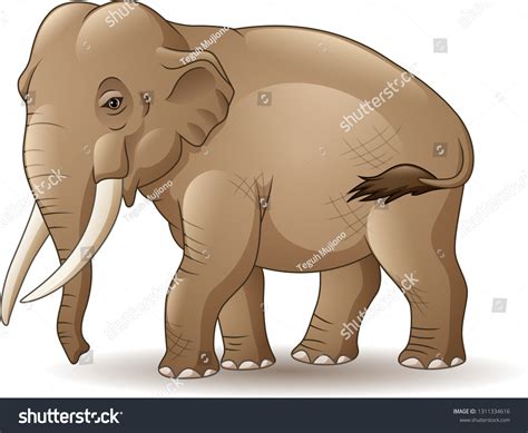 Cartoon Asian Elephant Isolated On White Stock Vector (Royalty Free ...