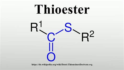 Thioester - YouTube