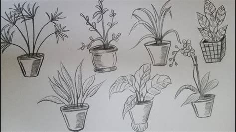 How to draw House plants drawing(Part 1)//easy plant drawing//Vel's Art ...