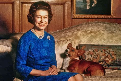 Queen Elizabeth II's Corgis: What Happened to Them After Her Death?