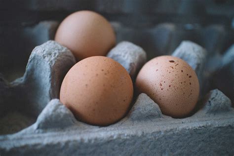 Organic Egg for Sale - Organic Egg farmers in Australia