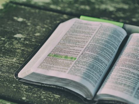 Free photo: Bible, Blur, Book, Close-Up - Free Image on Pixabay - 1868359