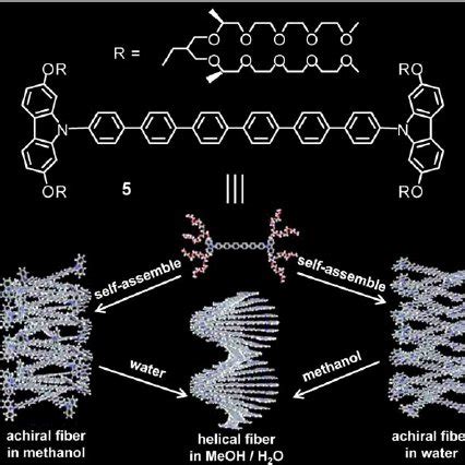 Molecular structures of amphiphiles 7 and 8 , TEM images and schematic... | Download Scientific ...