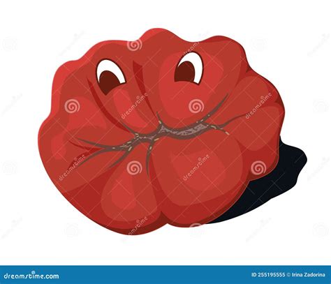 Funny character Mr. Tomato stock vector. Illustration of healthy - 255195555