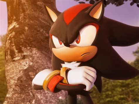 #1 Shadow The Hedgehog Fan on Twitter: "when the opps make u feel sad but then they apologize ...