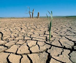 GAIA MISIONES: Efectos del cambio climático: sequía en México...