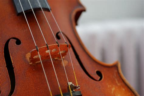 3 Defining Factors That Will Help You Choose The Best Violin Strings