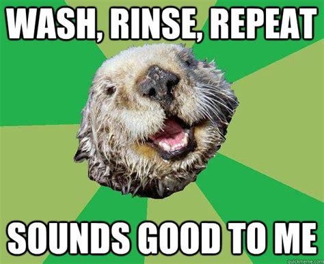 Wash, Rinse, Repeat Sounds Good to Me - OCD Otter - quickmeme