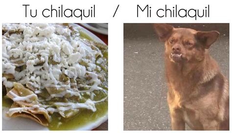 Canal Puebla on Twitter: "Chilaquil, el perro que conquistó el internet El perro 'Chilaquil' se ...