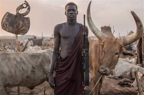 The Dinka System of Marriage, Where 100 Cattles are Paid as Dowry - NAIJA.FM