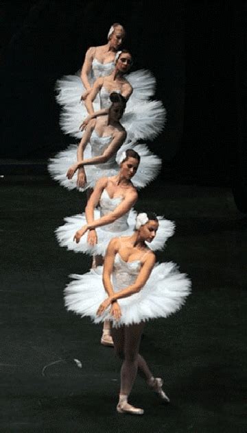 Pin by munekiita on Bailarines | Ballet beauty, Ballet dancers, Ballet photography