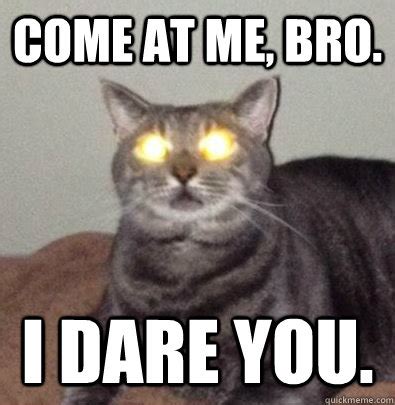 Laser Eye Cat memes | quickmeme