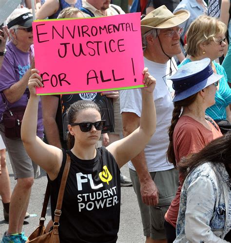 New Histories of Environmental Activism: A Review of Rethinking the American Environmental ...