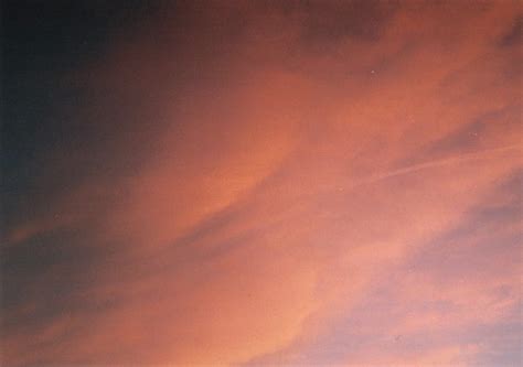 disposable 2 | disposable camera from boots 27 exposures | Holly Farndell | Flickr