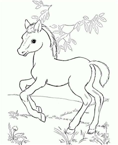 Cute Horse Sketch at PaintingValley.com | Explore collection of Cute Horse Sketch