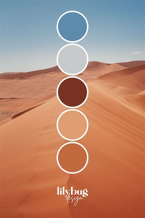 Desert Sand Colour Palette by Lilybug Design | Farmhouse color palette, Color palette design ...
