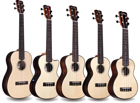 Córdoba Debuts New 21 Series Ukuleles | Ukulele, Cordoba, Guitar lessons