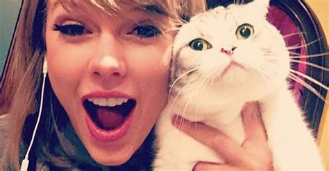 2015, As Reviewed By Taylor Swift's Cats | HuffPost