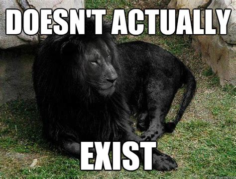 [FACT OR FAKE #95] Is This 'Rare' Photo Of An All-Black Lion Real?