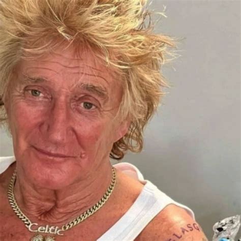 Rod Stewart Is Singing The Hits And Swigging His New, 46% OFF