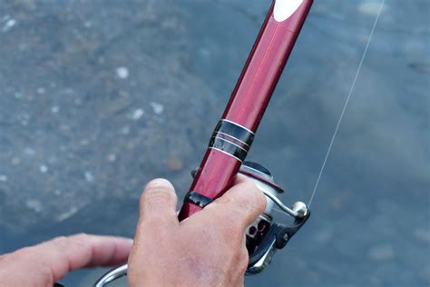 Fishing Rod Action 101: Choosing The Ideal Action 2024 Guide