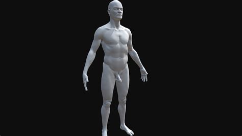 Human Male Body - Free / Downloadable - Download Free 3D model by ...