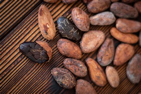 How To Roast Raw Cocoa Beans - Recipes.net