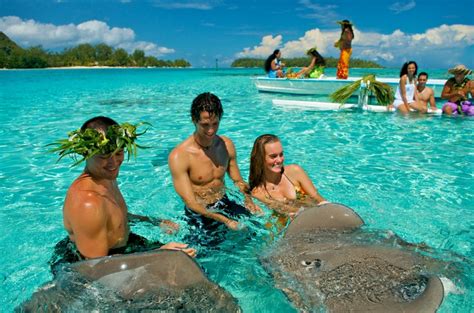 Swim with the Sting Rays in Bora Bora | Bora bora honeymoon, Tahiti, Bora bora vacation