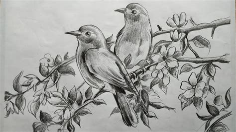 how to draw birds and flowers with pncil sketch for beginners step by ...