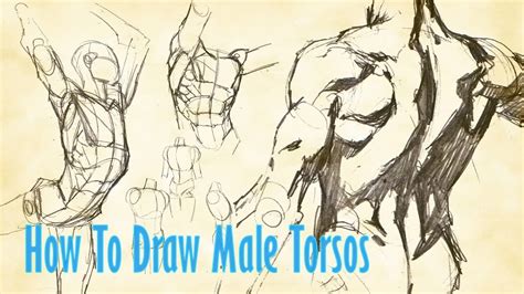 How To Draw Male Torsos - YouTube