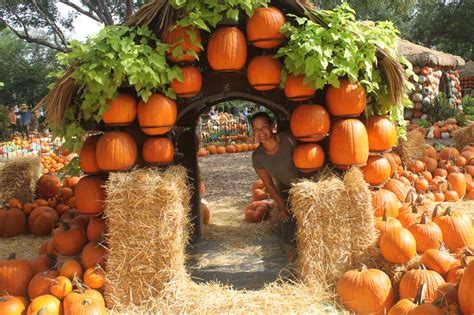 Autumn at the Arboretum, Pumpkin Village, The Dallas Arboretum, Garden ...