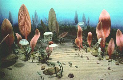 Proterozoic Eon | Prehistoric period, Geology, Prehistoric world