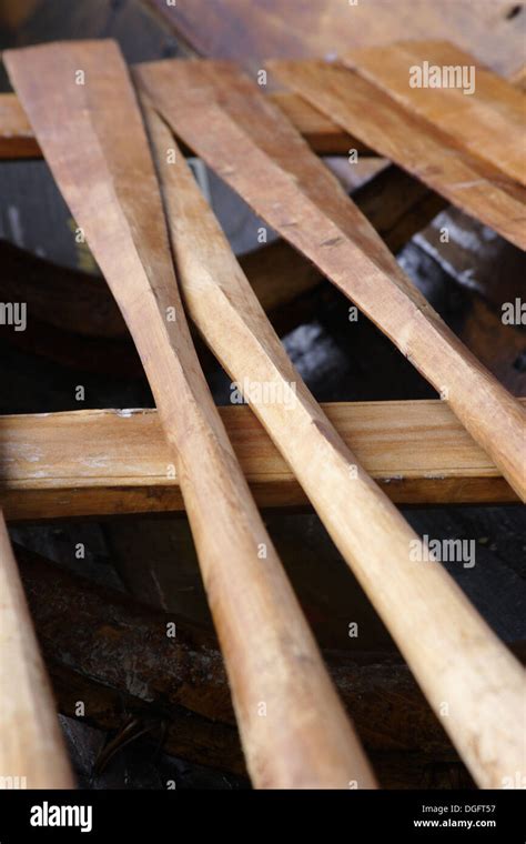 Oars on a replica viking-ship, Viking-ship museum, Roskilde, Denmark, Scandinavia Stock Photo ...