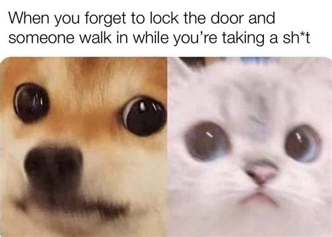 The awkward stare : r/memes