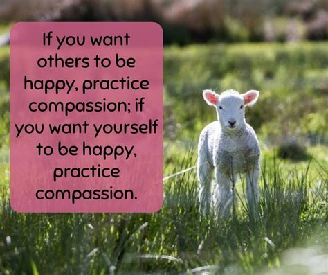 Compassion | Compassion, Happy, Animals