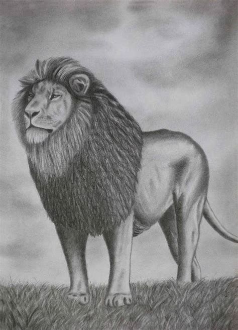 FREE 7+ Lion Drawings in AI