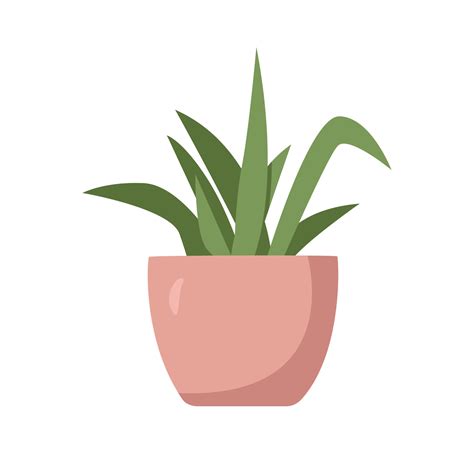 Small plant pot in flat style vector illustration. Simple plant pot in the living room or ...