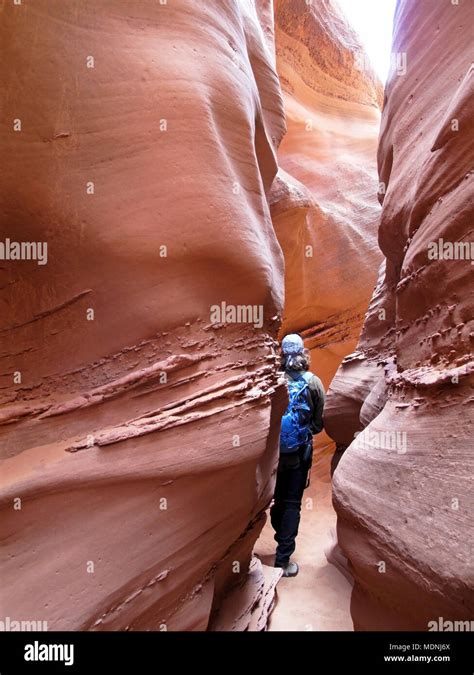 Hiker in Spooky Gulch slot canyon, at Dry Fork, a branch of Coyote ...