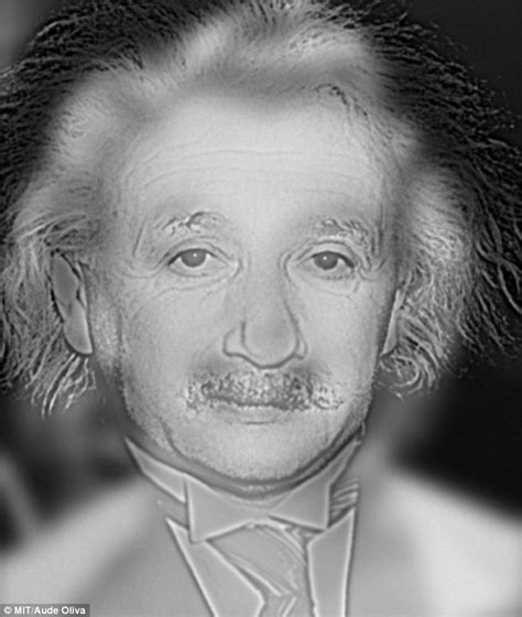 What face do YOU see, Einstein or Marilyn? Optical illusion could reveal if you need glasses ...