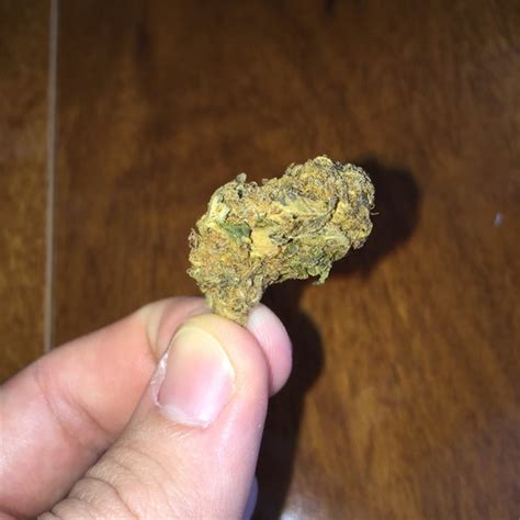 Photos of Colombian Gold Weed Strain Buds | Leafly