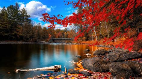 //Nahla | Paysage automne, Canada paysage, Beau paysage