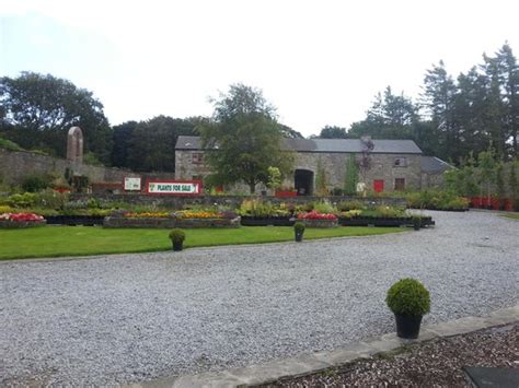 Vandeleur Walled Garden Reviews - Kilrush, County Clare Attractions - TripAdvisor
