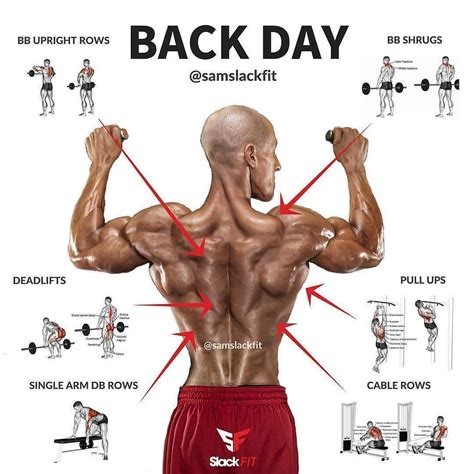 Back day. Credit:@samslackfit Follow 👉@fitness_importance… | Gym workouts, Good back workouts ...